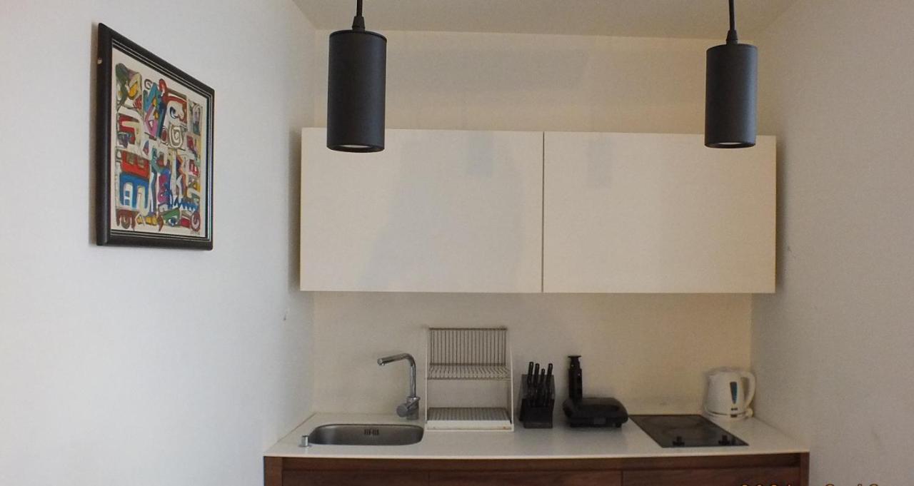 Little L Apartments Dorcol 贝尔格莱德 外观 照片